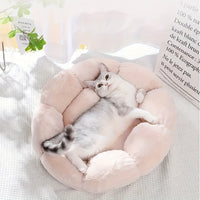 Flower-Shaped Pet Bed
