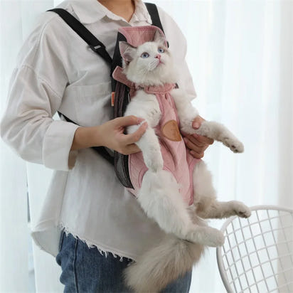 Pet Carriers Backpack