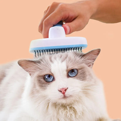 Pet Hair Removal Brush