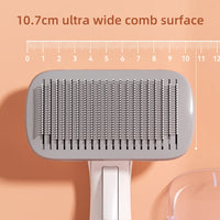 Pet Hair Removal Brush